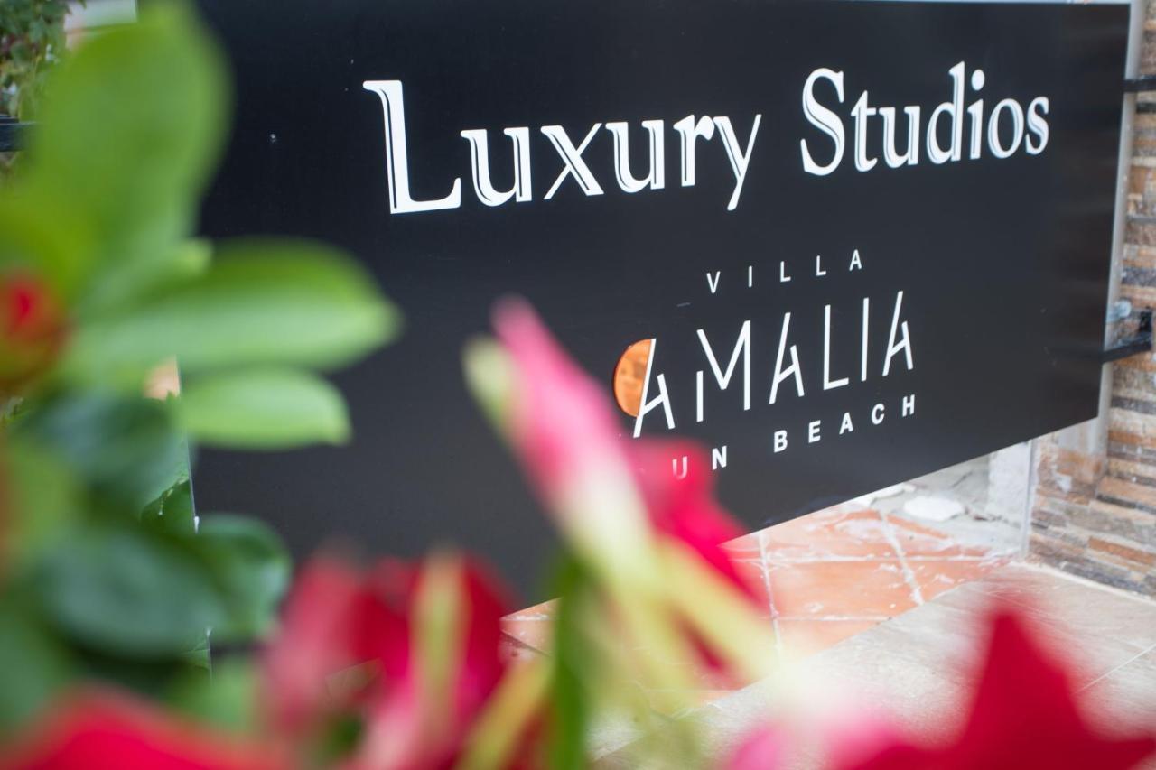 Villa Amalia Sun Beach Nea Vrasna Luaran gambar
